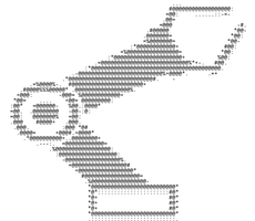 ascii-art image